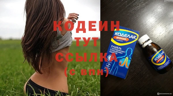 ГАЛЛЮЦИНОГЕННЫЕ ГРИБЫ Новозыбков